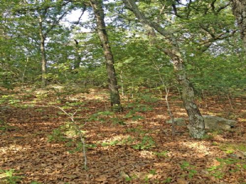 Deep Fork Game Lands Tract 6 : Mason : Okfuskee County : Oklahoma