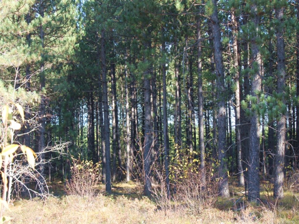 Tbd Missouri Road Mls 1076637 : Gwinn : Marquette County : Michigan