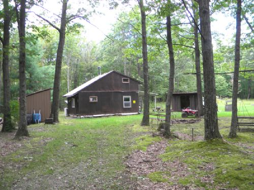 229 Acres Cabin Hunting Land : Hartsville : Steuben County : New York