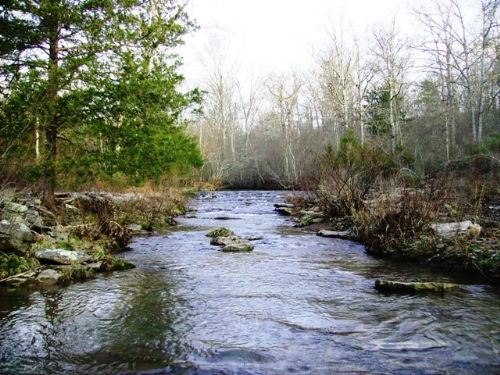 971 Acres Of Hunting / Timber Land : Clinton : Van Buren County : Arkansas