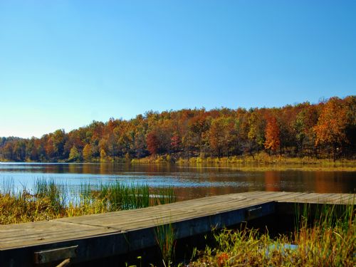 Great Hunting and Timber Land : Imboden : Lawrence County : Arkansas