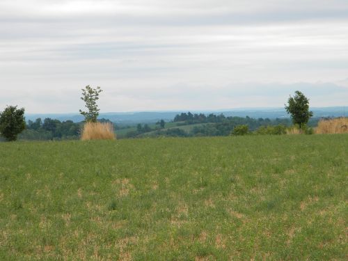 42 Acres Tillable Farmland Fence : Ira : Cayuga County : New York