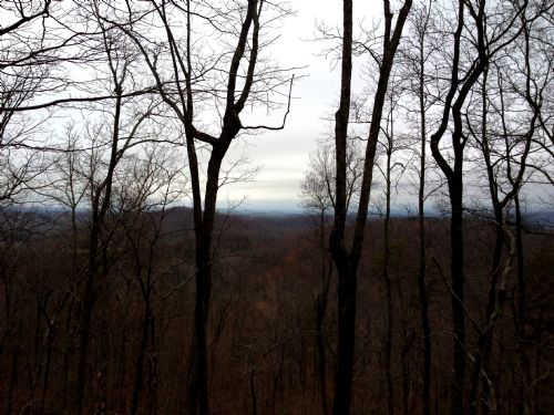 Burns Road Tract : Travelers Rest : Greenville County : South Carolina