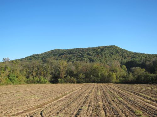 Arrowhead Ridge : Travelers Rest : Greenville County : South Carolina