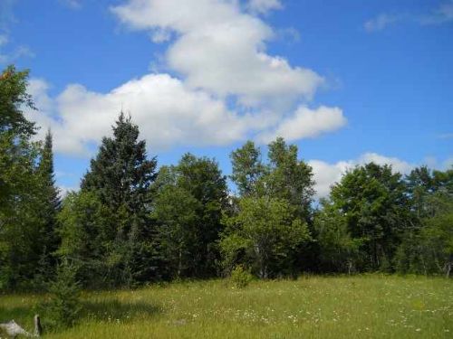 Tbd Off Petticoat Lake Rd. 1067928 : Michigamme : Baraga County : Michigan