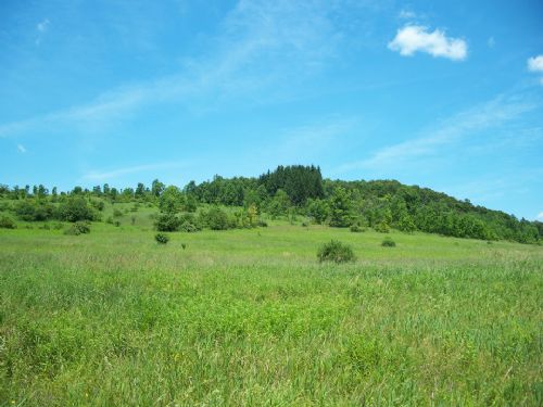 47 Acres Farm Perfect for Horses : Smyrna : Chenango County : New York