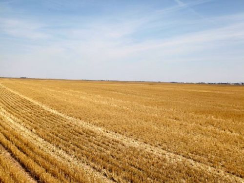 Wynona Leiker Trust Land Auction : Otis : Washington County : Colorado