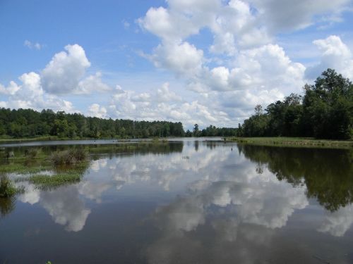Crooked Run Creek Plantation : Dozier : Crenshaw County : Alabama