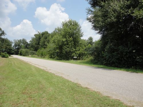 Development Potential in Bainbridge : Bainbridge : Decatur County : Georgia