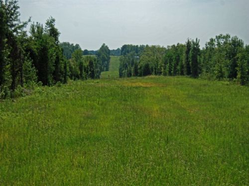 32.77 Acres for Homesite Or Hunting : Woodruff : Spartanburg County : South Carolina