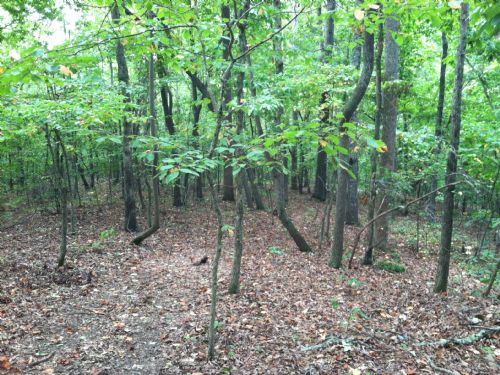 6.72 Secluded, Wooded Acres : Acworth : Paulding County : Georgia