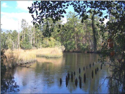 Mont Repose Plantation : Coosawhatchie : Jasper County : South Carolina