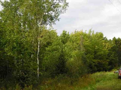 Tbd Aura Road Mls 1068831 : L'Anse : Baraga County : Michigan