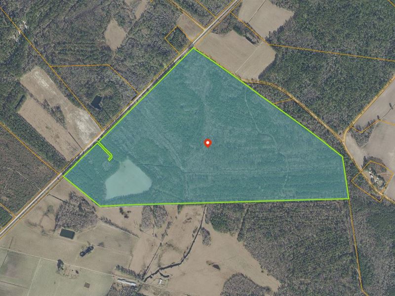 Lumber River Cribb Tract : Nichols : Horry County : South Carolina