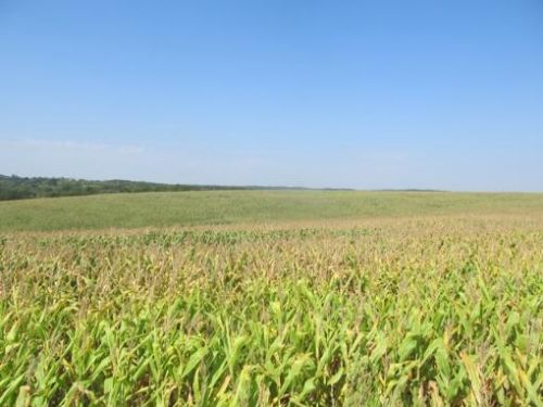 1,000 Acres Farm : Soldiers Grove : Crawford County : Wisconsin