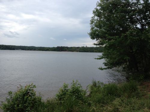 Lake Greenwood Tract - Dobson Lane : Waterloo : Laurens County : South Carolina