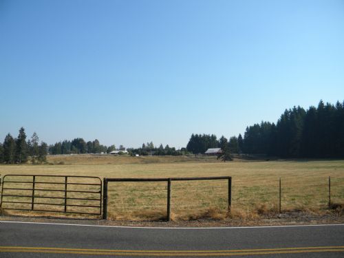42 Acre Horse and Cattle Ranch : Winlock : Lewis County : Washington