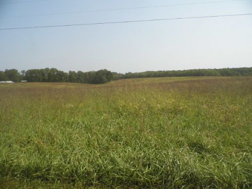 Austin's Pasture : Buckingham : Buckingham County : Virginia