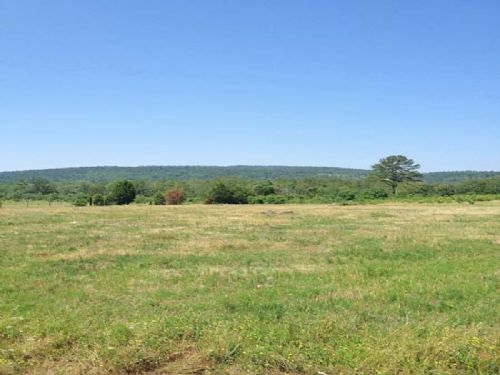 Peal Creek Properties Tract 7 : Clayton : Pushmataha County : Oklahoma