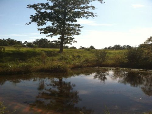 Diverse Tract : Buena Vista : Marion County : Georgia