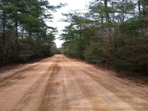 60 Acres : New Augusta : Perry County : Mississippi
