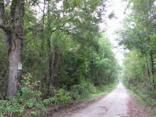 Long Bay : Tillman : Jasper County : South Carolina
