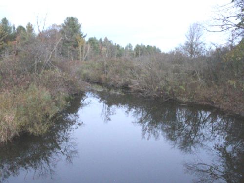 51 Acres Little River Deer Hunting : Camden : Oneida County : New York