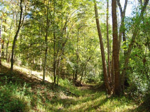 32.1 Acre Recreational Tract : Gaffney : Cherokee County : South Carolina