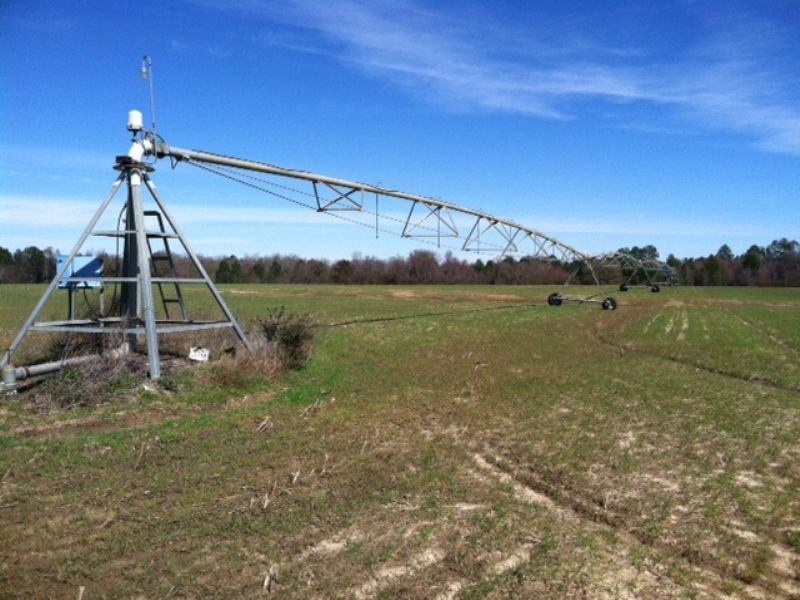 Irrigated Farm- 24k Annual Lease : Abbeville : Wilcox County : Georgia
