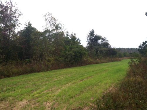 Hunting/ Investment Tract : Cuthbert : Randolph County : Georgia