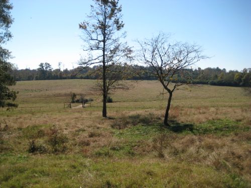 47.59 Acres Fenced Pasture & Timber : Fairmount : Gordon County : Georgia