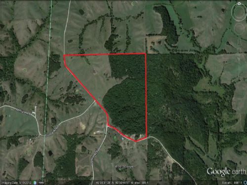 130 Acres Of Ideal Hunting : Winigan : Adair County : Missouri