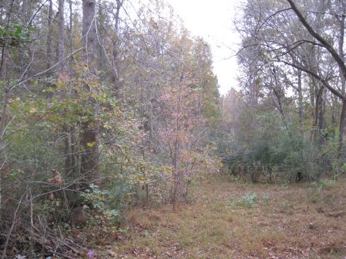 10+ Acres : Pittsboro : Chatham County : North Carolina