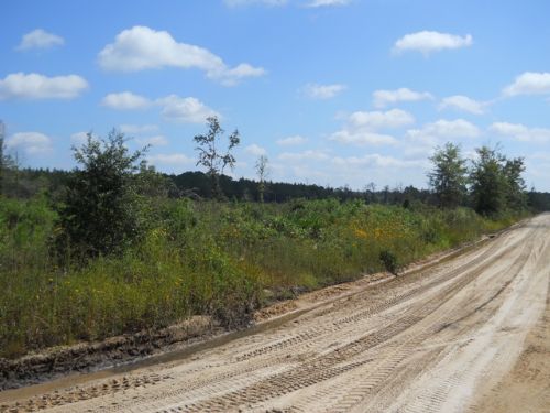 Located Near Belmore Forest : Keystone Heights : Clay County : Florida
