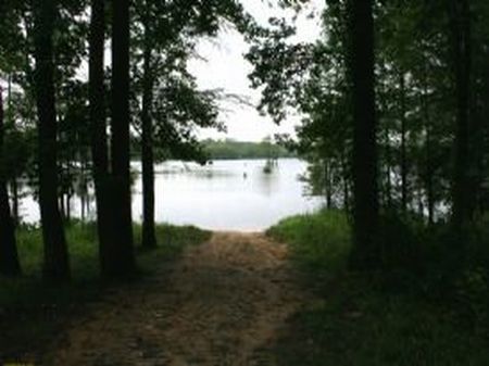 Mill Pond - 183 Acres : Bennettsville : Marlboro County : South Carolina