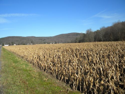 36 Acres Farmland Older Barn Creek : Caroline : Tompkins County : New York