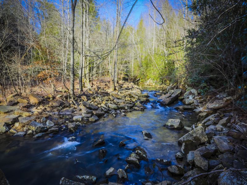 24 Acres Fronting Pristine Creek : Grandview : Rhea County : Tennessee