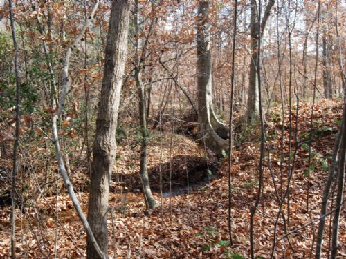 46.43 Acre Hunter's Dream : Gaffney : Cherokee County : South Carolina