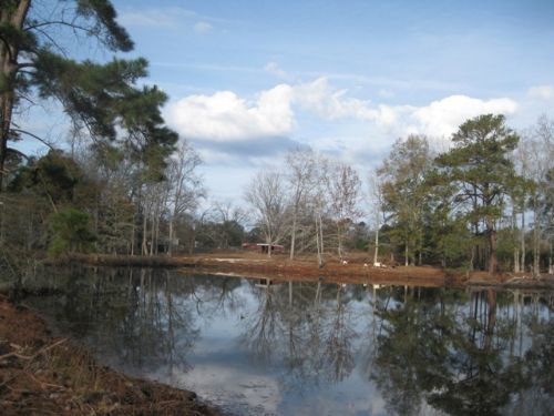 Reeves Tract : Reevesville : Dorchester County : South Carolina