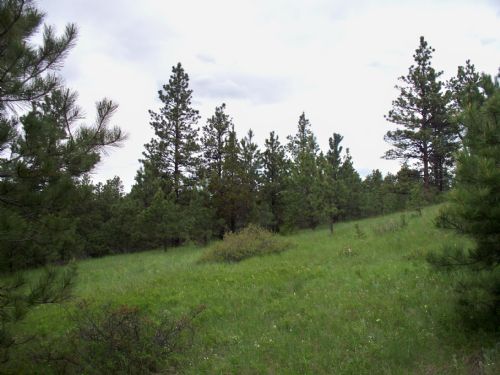 20 Acres Near Roundup : Roundup : Musselshell County : Montana