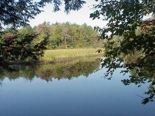 84 Acres Fish Creek Farmland Woods : Camden : Oneida County : New York