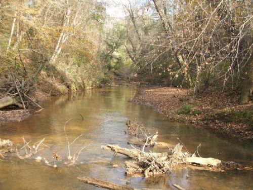 Old Town Creek Tract : Marion : Perry County : Alabama