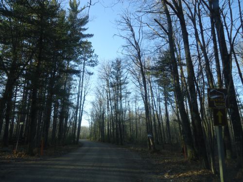5.43ac Wilderness Estates Parcel : Minocqua : Oneida County : Wisconsin