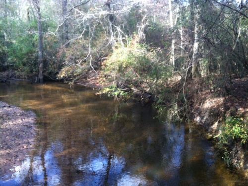 Hunting/ Homesite : Cuthbert : Randolph County : Georgia