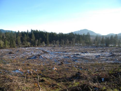 Priced To Sell : Tenino : Thurston County : Washington