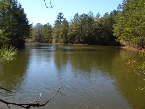Great Hunting : Andalusia : Covington County : Alabama