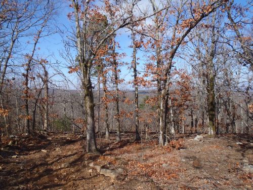 Winding Stair Mountain 32 : Talihina : Latimer County : Oklahoma