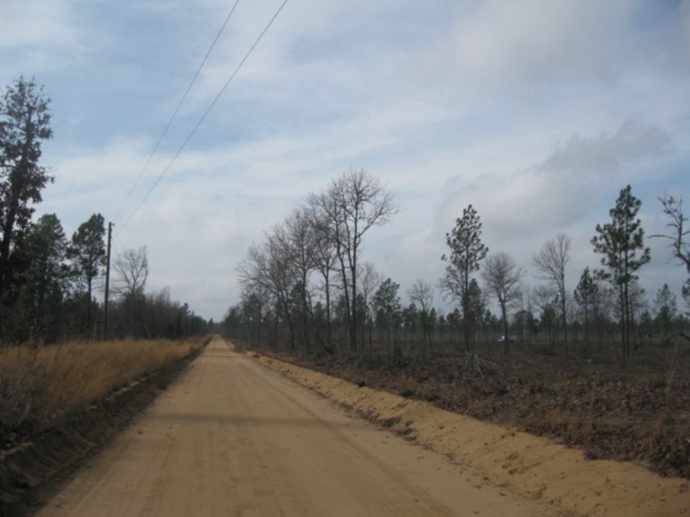 Bussey Road 50 Tract : Windsor : Aiken County : South Carolina