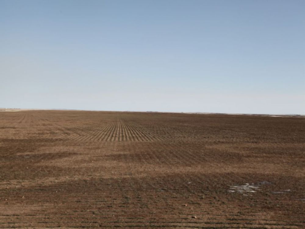 Willene B. Dilsaver Dryland Auction : Haxtun : Phillips County : Colorado