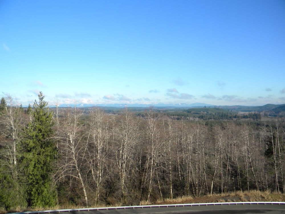 Big Property At A Small Price Farm for Sale in Montesano, Grays